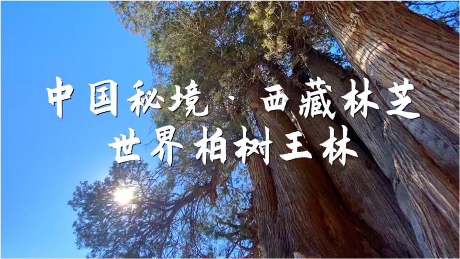 逃离舒适之屋